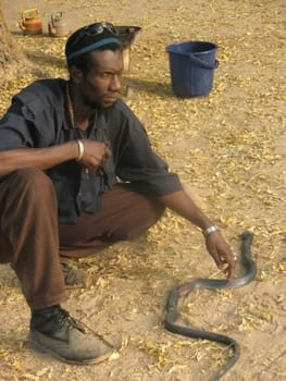 Siayaka with cobra